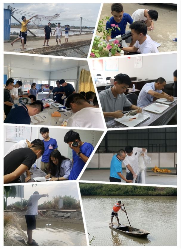 1664963177151710.png image.png